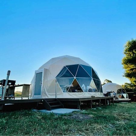 Hillview Farmstay Gundagai Esterno foto