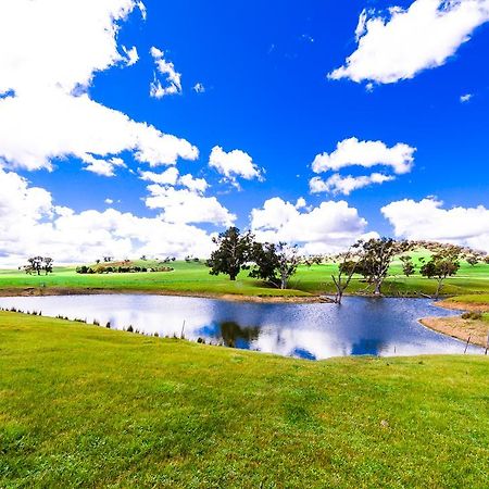 Hillview Farmstay Gundagai Esterno foto