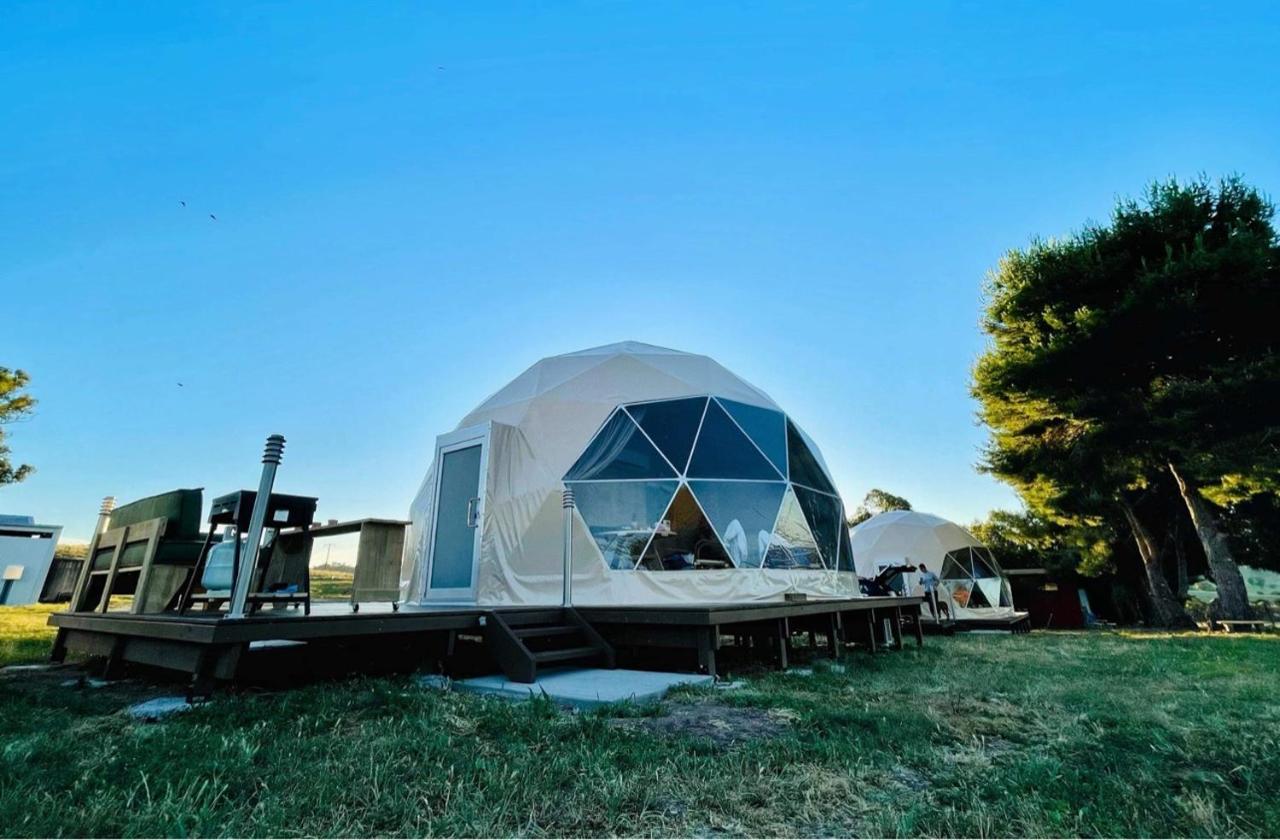 Hillview Farmstay Gundagai Esterno foto