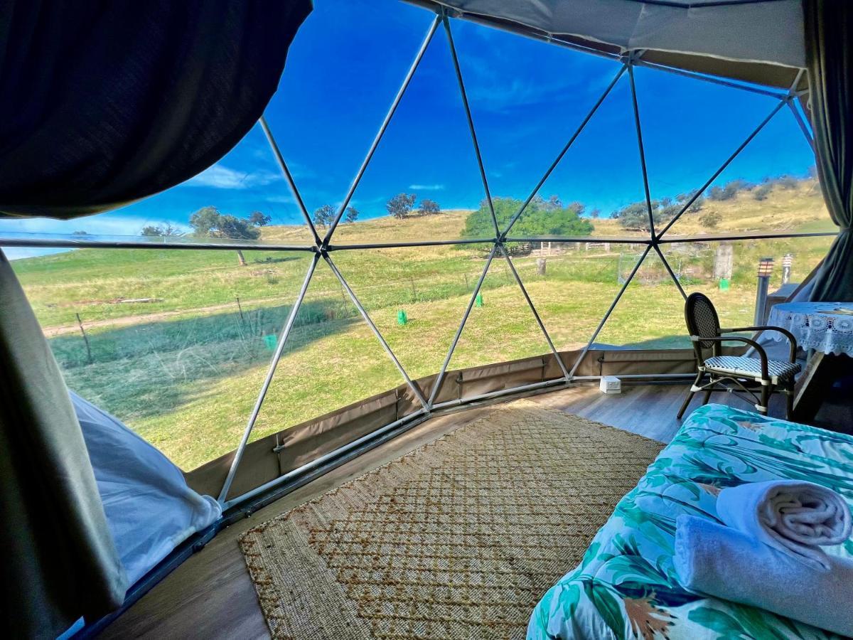 Hillview Farmstay Gundagai Esterno foto