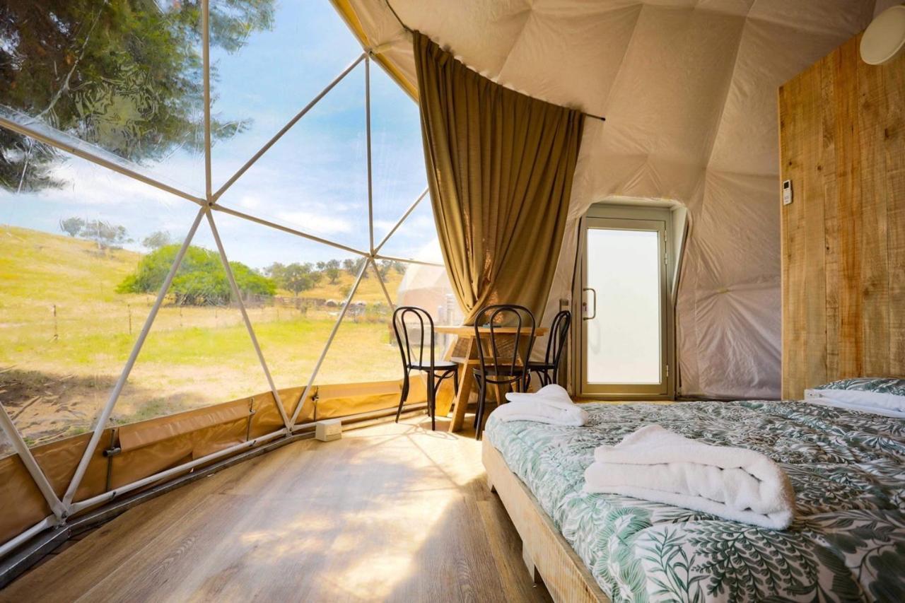 Hillview Farmstay Gundagai Esterno foto