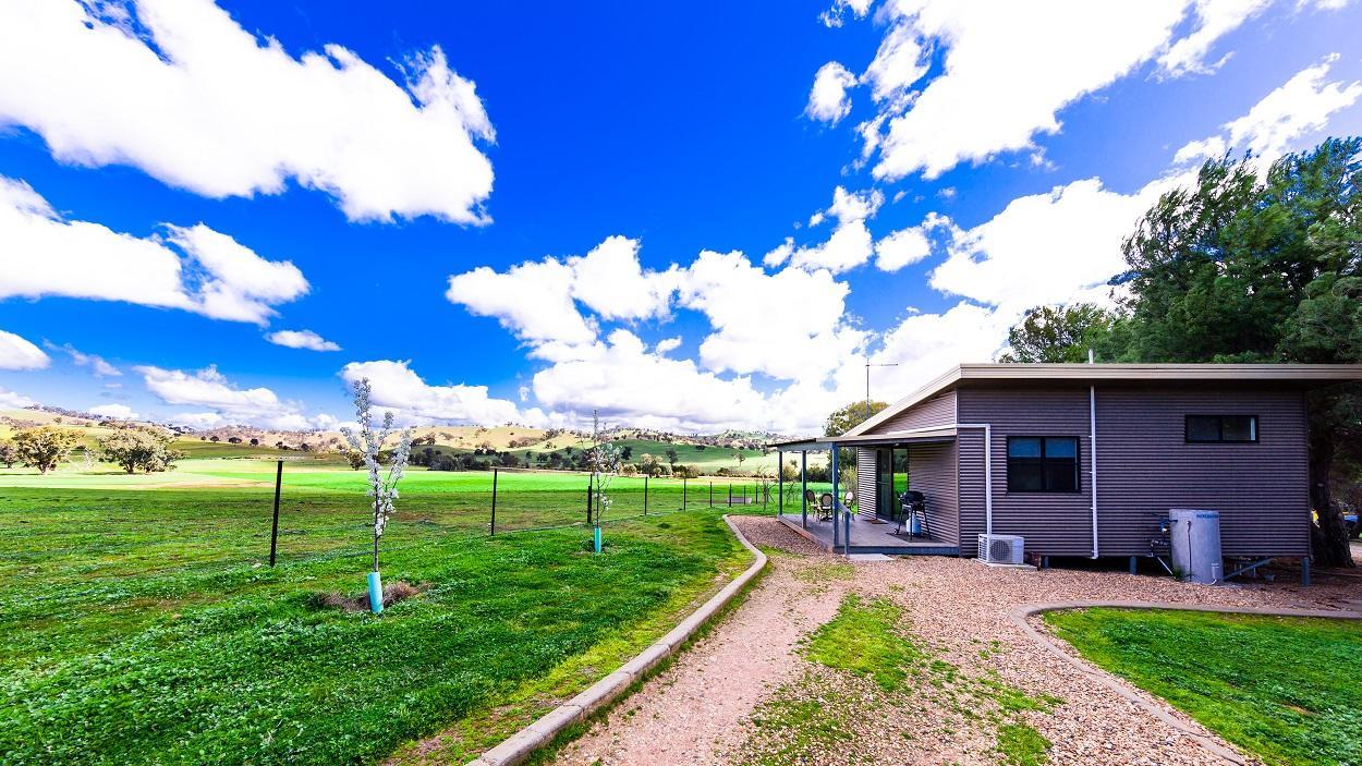 Hillview Farmstay Gundagai Esterno foto