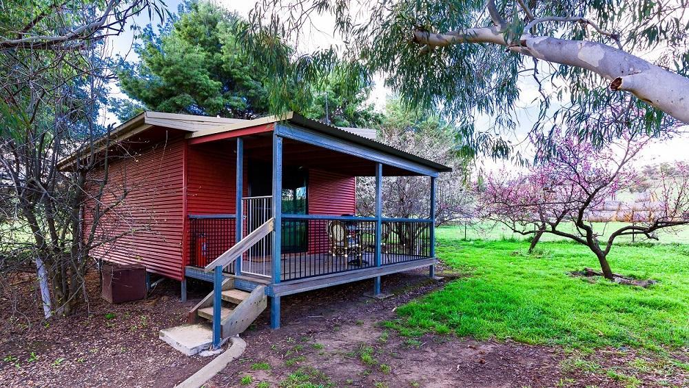 Hillview Farmstay Gundagai Esterno foto