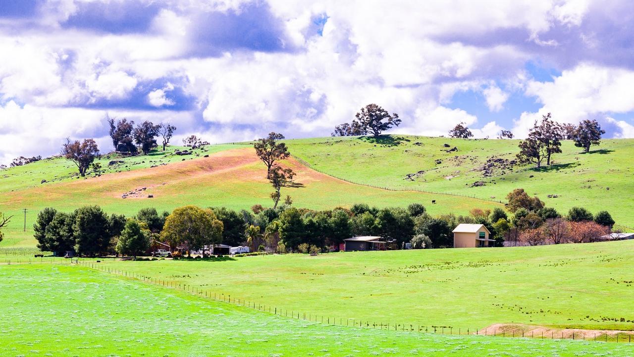 Hillview Farmstay Gundagai Esterno foto
