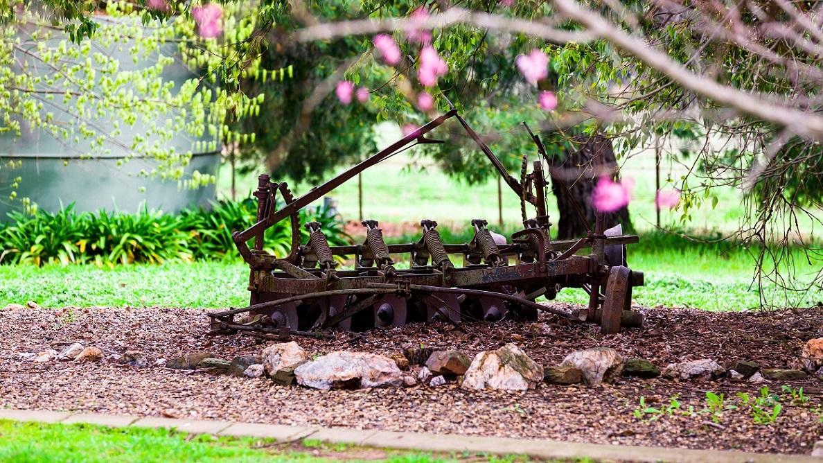 Hillview Farmstay Gundagai Esterno foto