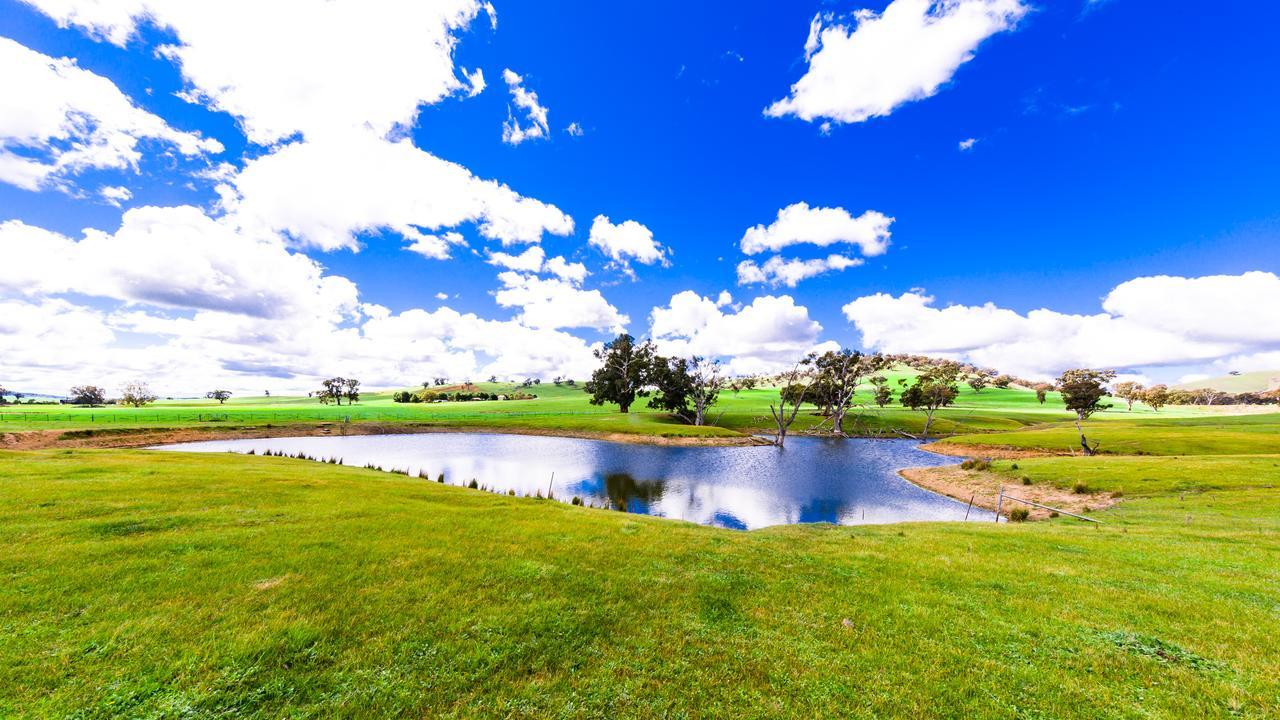 Hillview Farmstay Gundagai Esterno foto