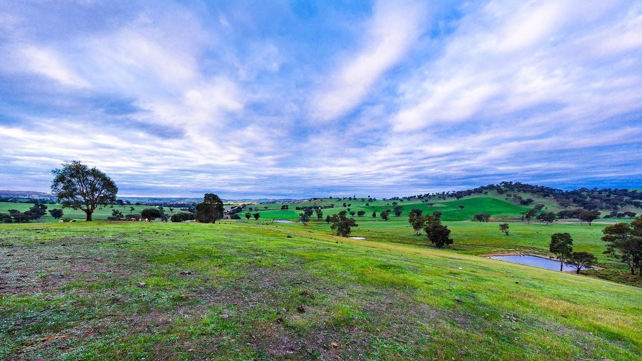 Hillview Farmstay Gundagai Esterno foto