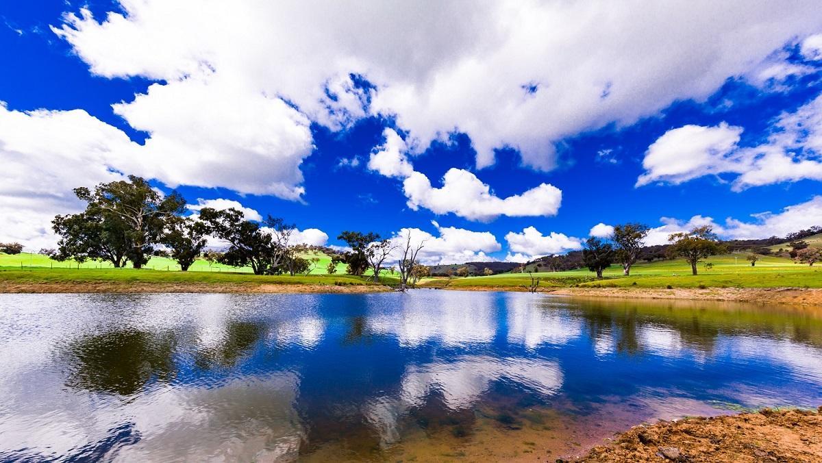 Hillview Farmstay Gundagai Esterno foto
