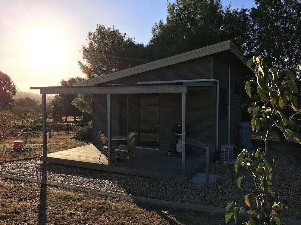 Hillview Farmstay Gundagai Esterno foto
