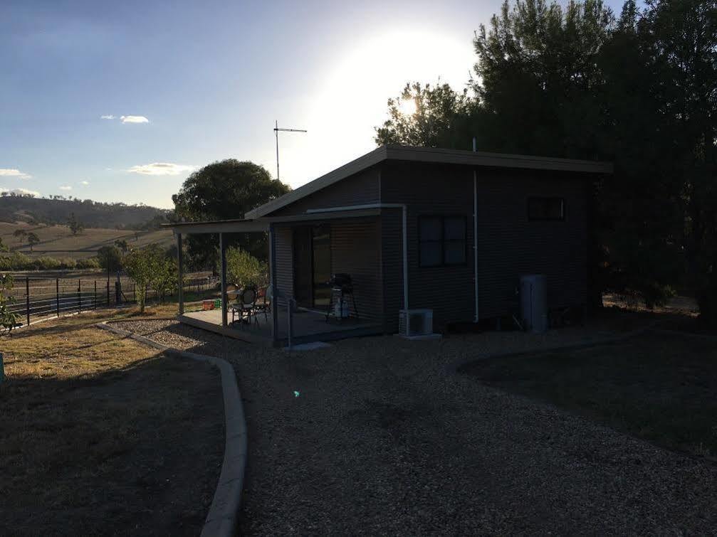 Hillview Farmstay Gundagai Esterno foto