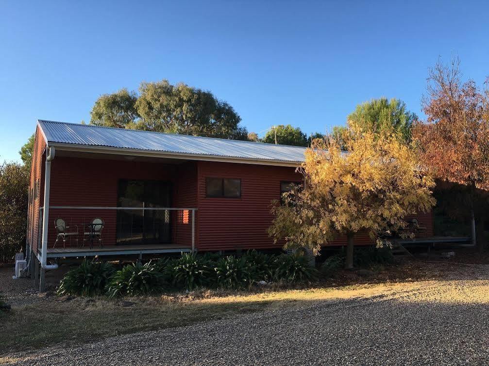 Hillview Farmstay Gundagai Esterno foto