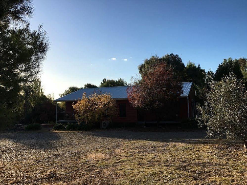 Hillview Farmstay Gundagai Esterno foto