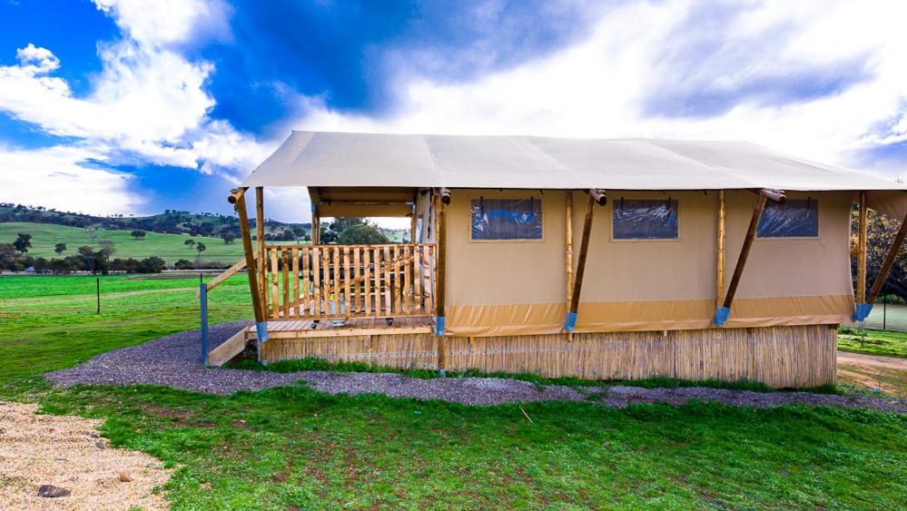 Hillview Farmstay Gundagai Esterno foto