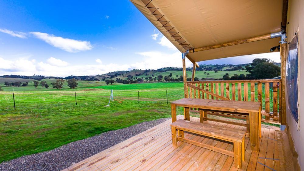 Hillview Farmstay Gundagai Esterno foto