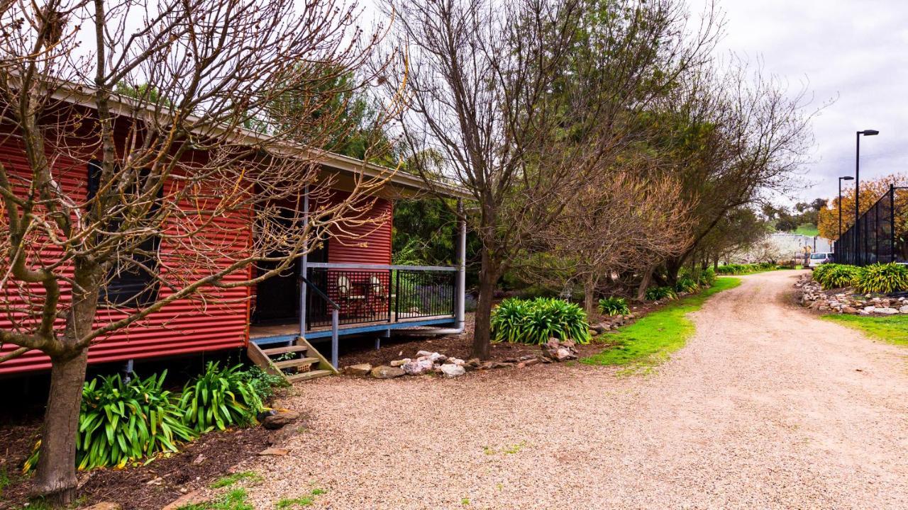 Hillview Farmstay Gundagai Esterno foto